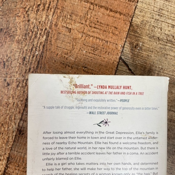 Echo Mountain Paperback Book Historical Fiction Middle Grade Children's Family - Picture 4 of 9